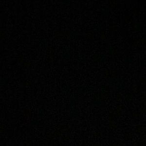 Meet your Posher, Sylvester